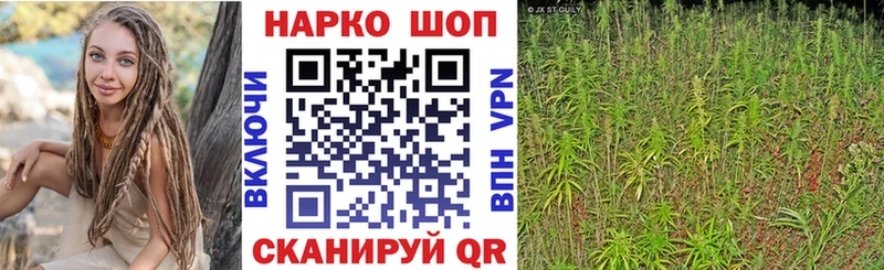 Где найти наркотики Челябинск МАРИХУАНА  Галлюциногенные грибы  hydra зеркало  Cocaine  A PVP  ГАШИШ 