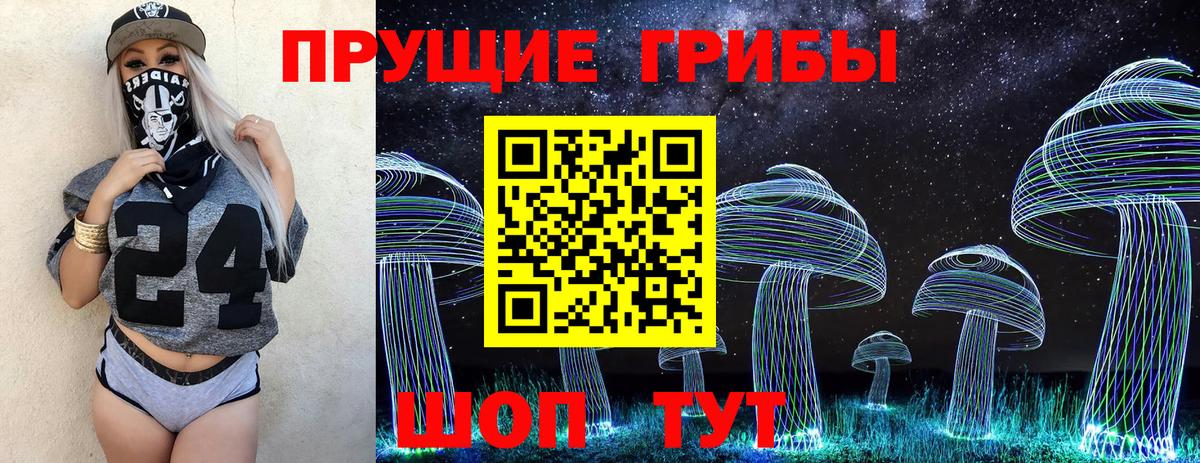 Челябинск  Псилоцибиновые грибы MAGIC MUSHROOMS  Вход с VPN 