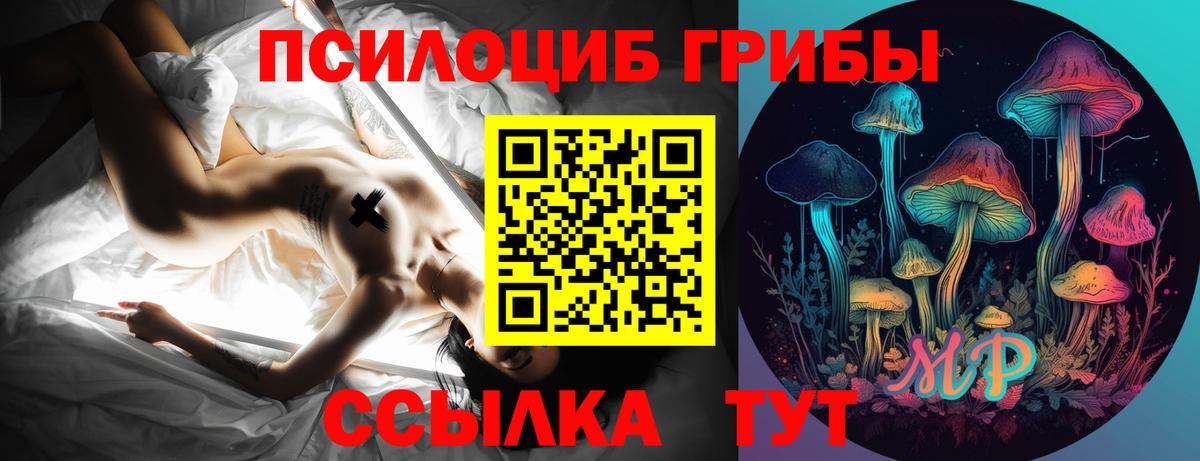 Галлюциногенные грибы Psilocybine cubensis Челябинск
